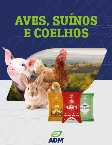 Catálogo